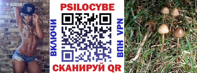 Галлюциногенные грибы Cubensis  гидра ONION  Чадан 